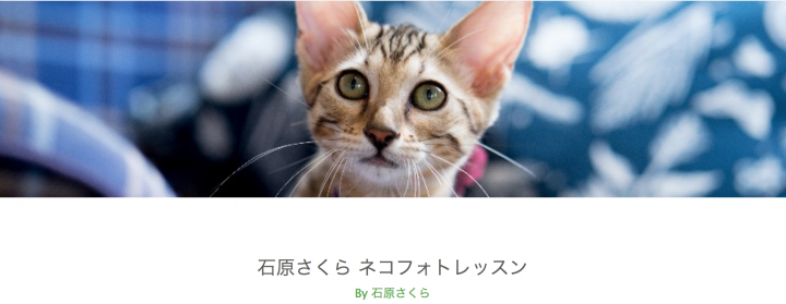 Peatix Inc.のプレスリリース画像3