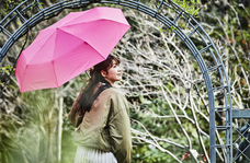 アンベル株式会社のプレスリリース画像8