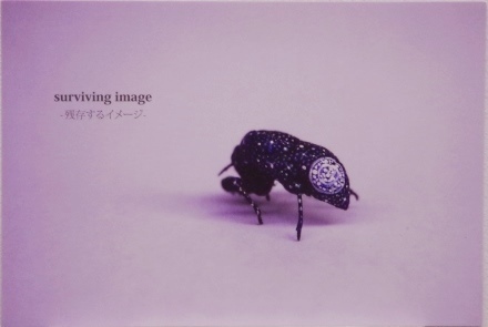 株式会社アピスコーポレーションのプレスリリース画像1