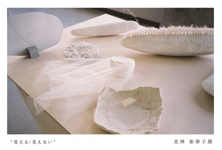 株式会社アピスコーポレーションのプレスリリース画像1