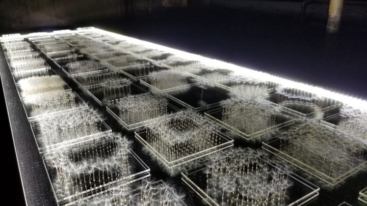 株式会社アピスコーポレーションのプレスリリース画像1