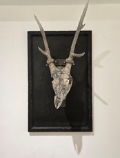 株式会社アピスコーポレーションのプレスリリース画像1