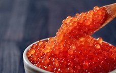 札幌市東京事務所 PR事務局のプレスリリース画像1