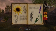 株式会社オーイズミ・アミュージオのプレスリリース画像9