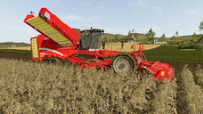 株式会社オーイズミ・アミュージオのプレスリリース画像2