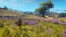 株式会社オーイズミ・アミュージオのプレスリリース画像3