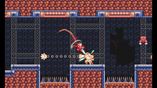 株式会社オーイズミ・アミュージオのプレスリリース画像8