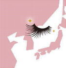 アンファー株式会社のプレスリリース画像2