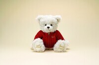 株式会社T'sトレーディングのプレスリリース