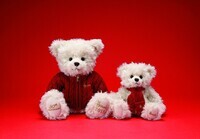 株式会社T&#39;sトレーディングのプレスリリース画像3