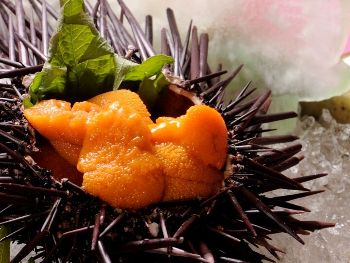 東京ドームホテル 札幌のプレスリリース画像1