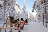 星野リゾートのプレスリリース画像1