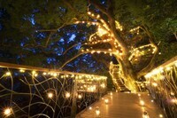 星野リゾートのプレスリリース画像1