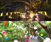 星野リゾートのプレスリリース画像4