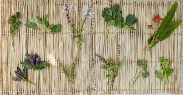 星野リゾートのプレスリリース画像1