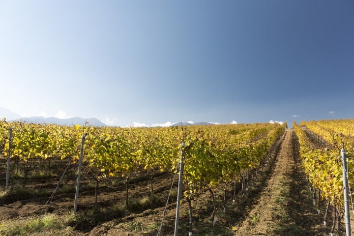 星野リゾートのプレスリリース画像4