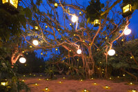 星野リゾートのプレスリリース画像3