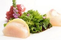 星野リゾートのプレスリリース画像2