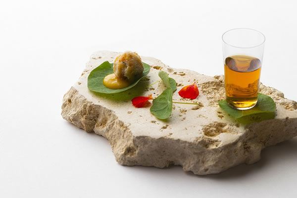 星野リゾートのプレスリリース画像1