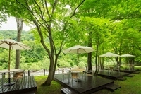 星野リゾートのプレスリリース画像1