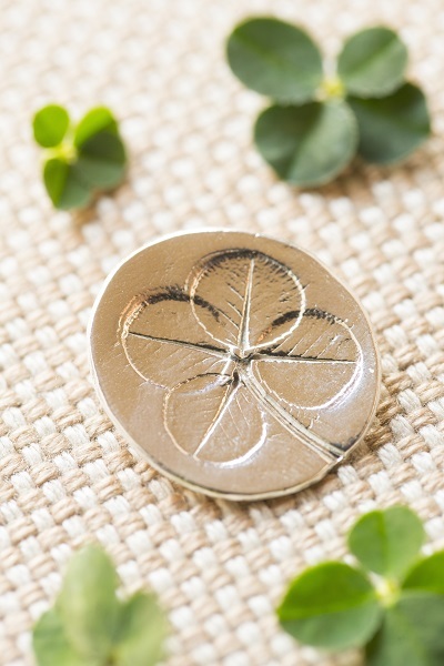 星野リゾートのプレスリリース画像2