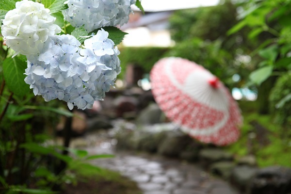 星野リゾートのプレスリリース画像3