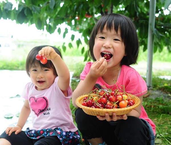 星野リゾートのプレスリリース画像3