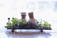 星野リゾートのプレスリリース画像4