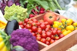 星野リゾートのプレスリリース画像3