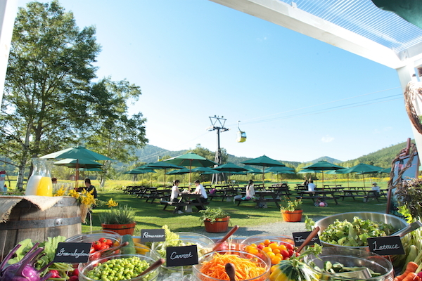 星野リゾートのプレスリリース画像2