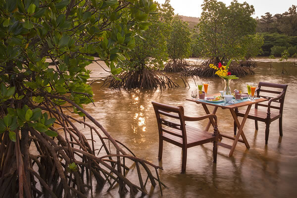 星野リゾートのプレスリリース画像4