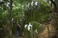 星野リゾートのプレスリリース画像1