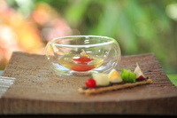 星野リゾートのプレスリリース画像1