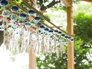 星野リゾートのプレスリリース画像2