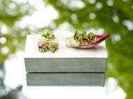 星野リゾートのプレスリリース画像1