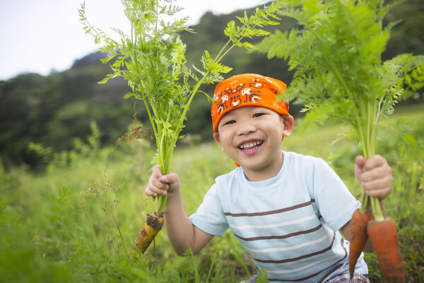 星野リゾートのプレスリリース画像2