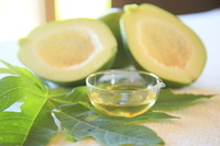 星野リゾートのプレスリリース画像2