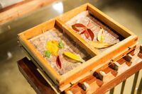 星野リゾートのプレスリリース画像4