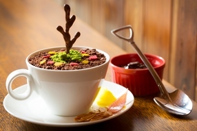 星野リゾートのプレスリリース画像3