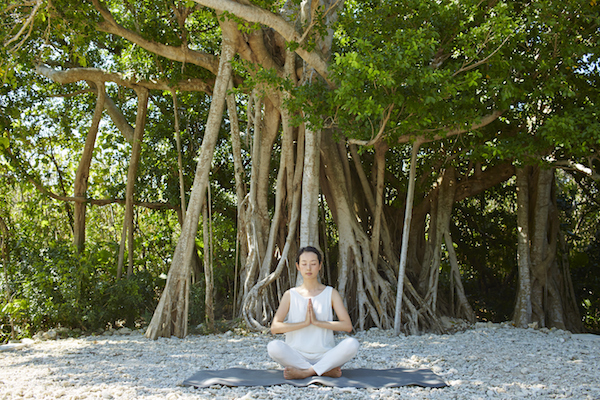 星野リゾートのプレスリリース画像1