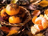 星野リゾートのプレスリリース画像1