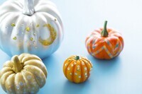 星野リゾートのプレスリリース画像5