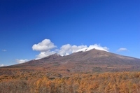 星野リゾートのプレスリリース画像4