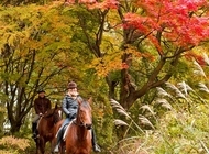 星野リゾートのプレスリリース画像2