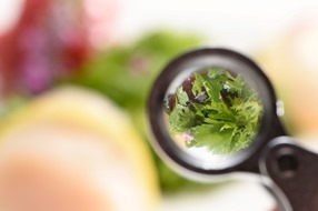 星野リゾートのプレスリリース画像3