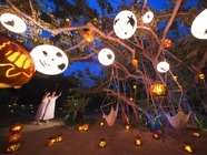 星野リゾートのプレスリリース画像2