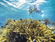 星野リゾートのプレスリリース画像2