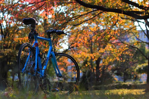 星野リゾートのプレスリリース画像3