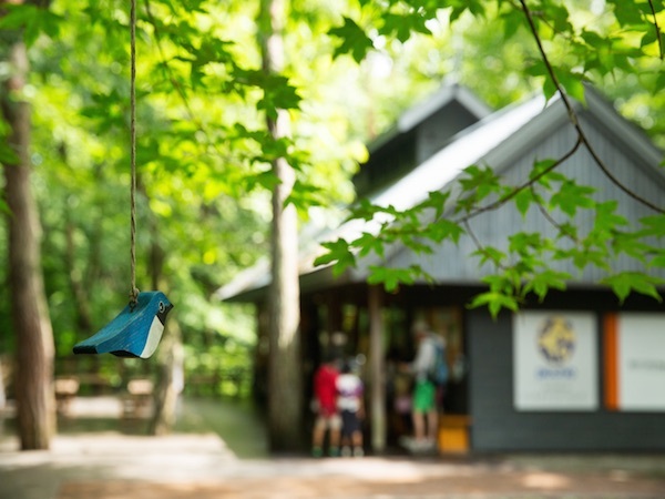 星野リゾートのプレスリリース画像2