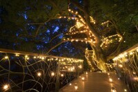 星野リゾートのプレスリリース画像4